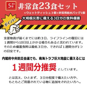 非常食 防災食 保存食 3日分 27点 災害用...の詳細画像4