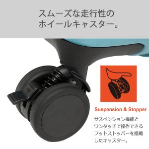 キャリーケース 30周年 ポケモン 拡張 Sサ...の詳細画像5