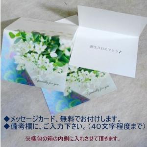 アレンジメント お供え お悔み 花 法事 一周...の詳細画像5