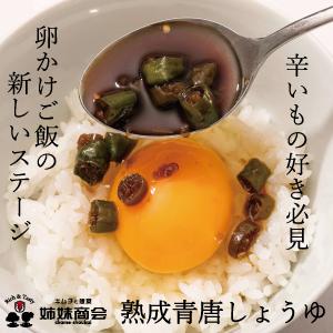 熟成青唐しょうゆ　辛い　ニンニク　タレ　やみつき　手作り専門　チャメ商会　熟成　付け足し　唐辛子　万能　韓国風｜chame