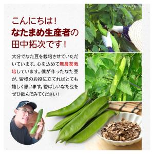 なた豆茶 ティーバッグ 【初回限定】 国産 お...の詳細画像2