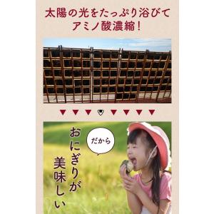 焼き海苔 高級 厚漉き 半切 40枚 厚漉き ...の詳細画像5