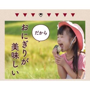 焼き海苔 焼きのり 全形 40枚 おにぎらず ...の詳細画像5