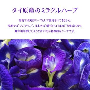 ハーブティー バタフライピー ティーバッグ 4...の詳細画像5