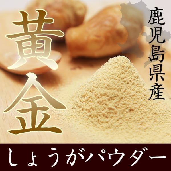 しょうが 国産 粉末 80g 送料無料 生姜 鹿児島県産 ショウガ 黄金生姜 パウダー