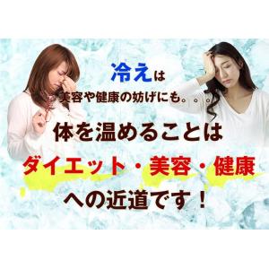 【TVで話題!】生姜紅茶 国産 30包 ティー...の詳細画像3