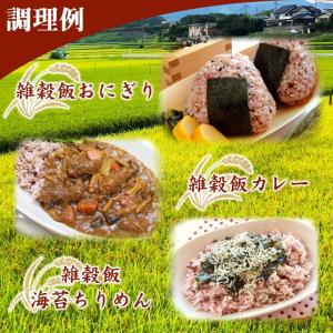 五穀米 国産 200g 送料無料 五穀 雑穀 ...の詳細画像1