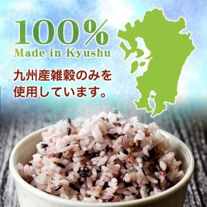 五穀米 国産 200g 送料無料 五穀 雑穀 ...の詳細画像2