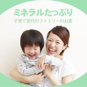 グリーンルイボスティー 100包 ティーバッグ...の詳細画像1