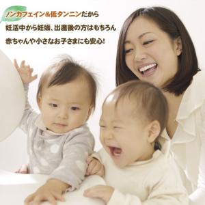 グリーンルイボスティー 100包 ティーバッグ...の詳細画像3