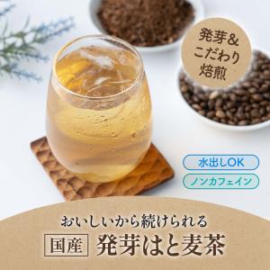 ハトムギ ハトムギ茶 国産 ティーバッグ はと...の詳細画像1