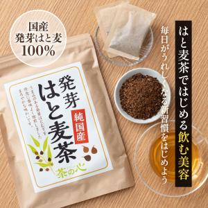 ハトムギ ハトムギ茶 国産 ティーバッグ はと...の詳細画像2