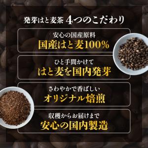 ハトムギ ハトムギ茶 国産 ティーバッグ はと...の詳細画像3