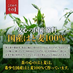 ハトムギ ハトムギ茶 国産 ティーバッグ はと...の詳細画像4