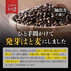 ハトムギ ハトムギ茶 国産 ティーバッグ はと...の詳細画像5