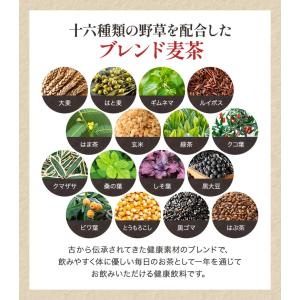 十六爽健麦茶 24包 40袋入 1C/T 2C...の詳細画像2