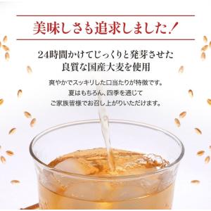 十六爽健麦茶 24包 40袋入 1C/T 2C...の詳細画像3