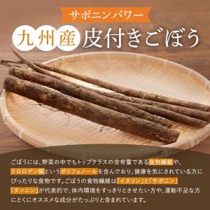 菊芋ごぼう茶 国産ティーバッグ 30包 3g ...の詳細画像3