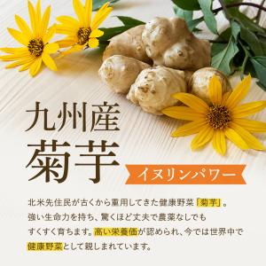菊芋ごぼう茶 国産ティーバッグ 30包 3g ...の詳細画像4