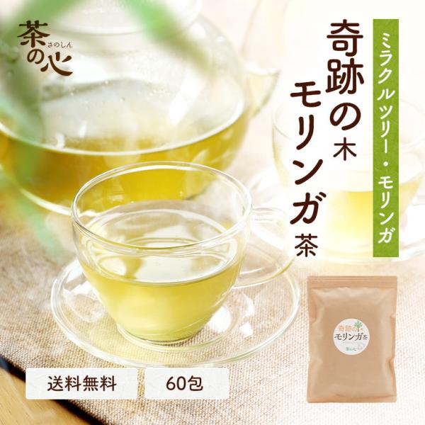 ハーブティー モリンガ茶 60包 ティーバッグ モリンガ 送料無料 健康茶 ノンカフェイン