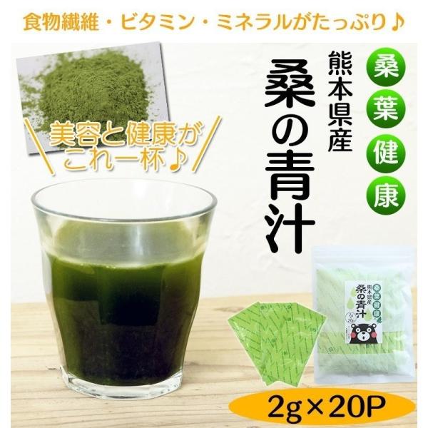 桑 青汁 20包 桑の葉 粉末 国産 桑の葉茶 熊本県産 2g 送料無料 パウダー 健康茶