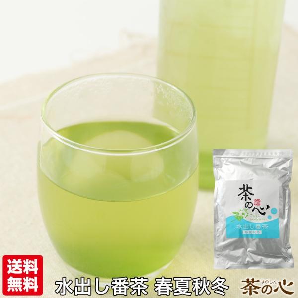 お茶 緑茶 ティーバッグ 水出し 番茶 40包 お茶 日本茶クロレラ 健康茶 植物茶