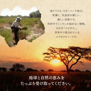 ルイボスティー 110包 国内焙煎 2g ティ...の詳細画像2