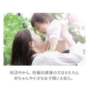 ルイボスティー 110包 国内焙煎 2g ティ...の詳細画像4