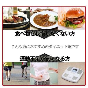サラシア茶 ティーバッグ 3g 30包 送料無...の詳細画像2