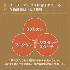 スーパー大麦 ロースト バーリーマックス 15...の詳細画像5