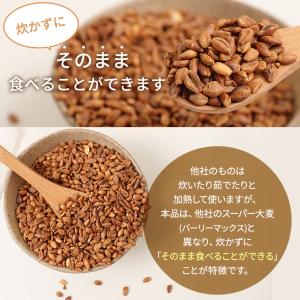 スーパー大麦 ロースト 380g バーリーマッ...の詳細画像1