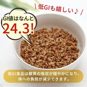 スーパー大麦 ロースト 380g バーリーマッ...の詳細画像4