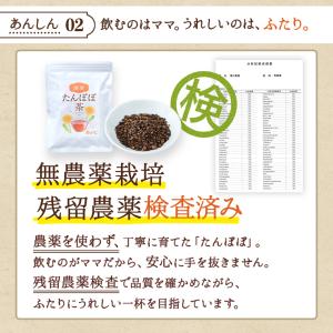 国産たんぽぽ茶 30包 コーヒー ティーバッグ...の詳細画像3