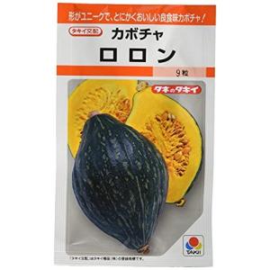タキイ種苗 かぼちゃ ロロン ANK049｜chamo-shop