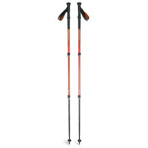 ブラックダイヤモンド Black Diamond トラバース スキーポール BD42158