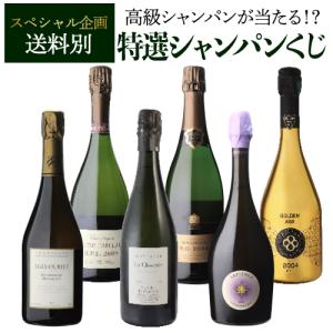 シャンパン 送料無料 7777 特選 シャンパンくじ 高級シャンパンを探せ 15弾 先着300セット 福袋 シャンパーニュ Wくじ｜champagnehouse