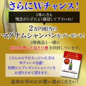 シャンパン 高級 プレミアム シャンパン福袋 ...の詳細画像5
