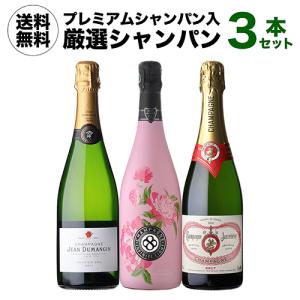 シャンパン シャンパンセット すべて グランクリュ 特選シャンパーニュ