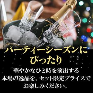ワインセット 極上シャンパン入! フランス産 ...の詳細画像5
