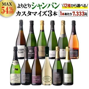 2026年2月】シャンパーニュ（ワインセット本数：3本）のおすすめ人気