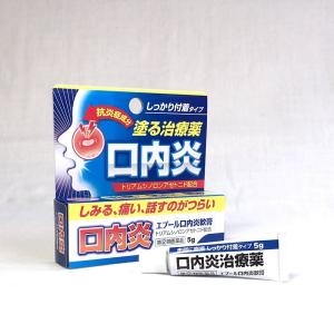 【第(2)類医薬品】エプール口内炎軟膏 5g【口腔・咽喉薬】｜champion-drug