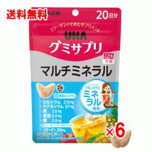 UHA味覚糖　グミサプリ　マルチミネラル　40粒×6個セット｜champion-drug