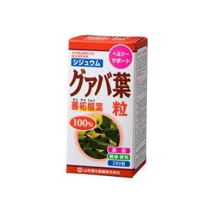 山本漢方製薬 シジュウム グアバ粒 280粒(花粉)(アレルギー)｜champion-drug