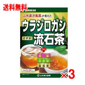 山本漢方 ウラジロガシ流石茶 24包×3個セット
