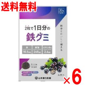山本漢方製薬 鉄グミ（からだグミ） 30粒×6個セット【鉄】【葉酸】【ビタミンB12】
