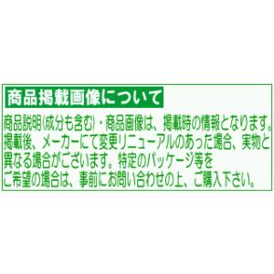 小林製薬　パーシャルデント　グリーンアップル　96錠｜champion-drug
