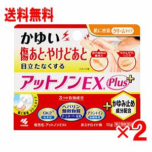 【第2類医薬品】アットノンEXk かゆみ止めプラス　10g×2個セット｜champion-drug