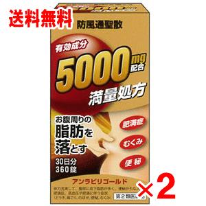 【第2類医薬品】アンラビリゴールド 360錠 ×2個セット｜champion-drug