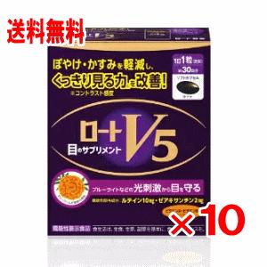 栃本天海堂 文火楽々〔漢方煎じ器〕（とろびらんらん） EK-SA10 1台