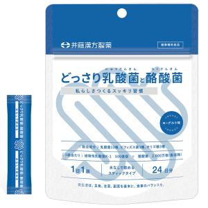 どっさり乳酸菌と酪酸菌 2g×24袋の商品画像